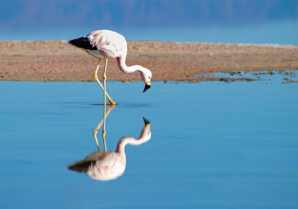 Blog featured image