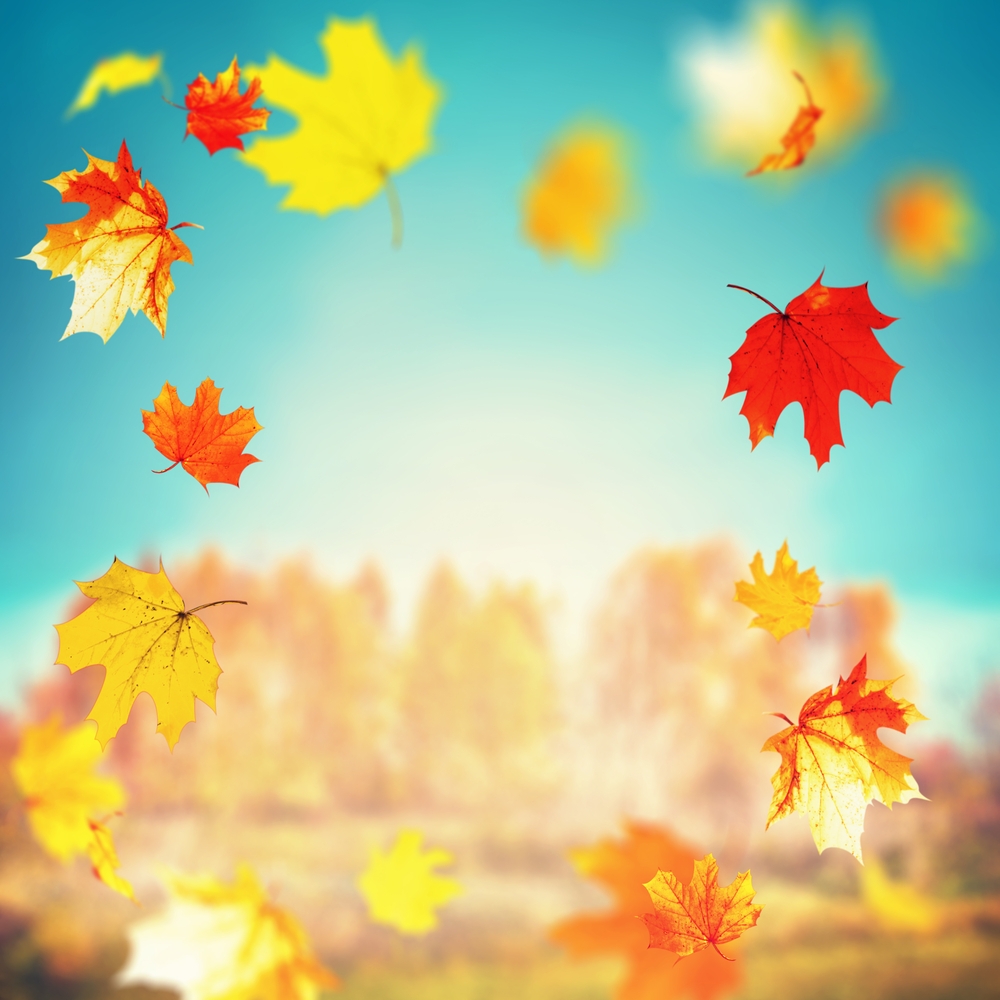 Blog featured image